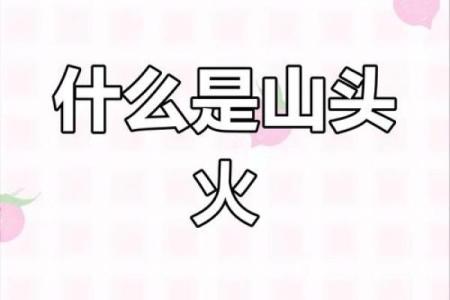 属狗山头火命：探秘这一命格的人生运势与性格特点