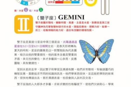属兔双子座的命格解析：性格特点与生活智慧