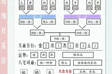解读生辰八字：从命理看你的人生方向与机遇