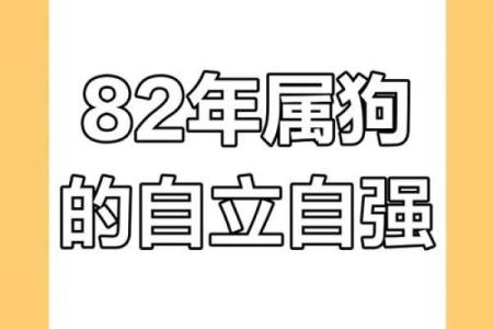 82年属狗的人命运解析：揭开性格与未来的神秘面纱