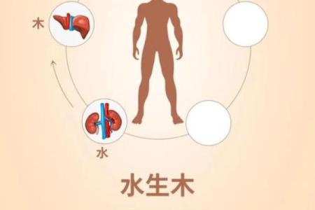 壬寅年：探索五行与虎命的奥秘，带你走进生命的力量之中