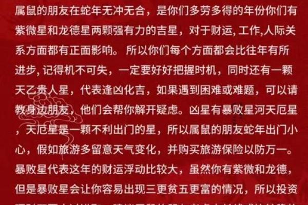 属鼠年2月出生的命理解析：掌握命运的秘密