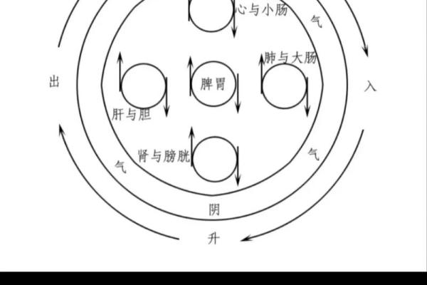 壬戌日的人生之路:智慧与坚韧的结合之道 壬戌日的人生之路:智慧与坚韧的结合之道
