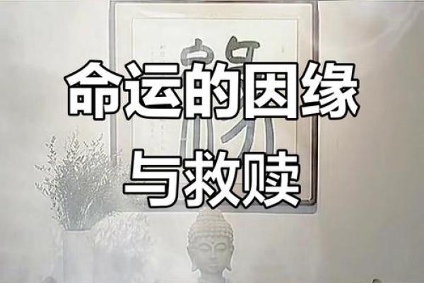 命运不是注定:重塑人生的十种可能性 命运不是注定:重塑人生的十种可能性