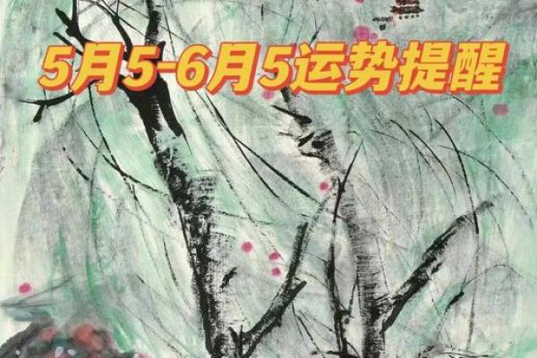 壬寅癸卯年命理解析:拯救生活中的危机与幸福的钥匙 壬寅癸卯年命理解析:拯救生活中的危机与幸福的钥匙