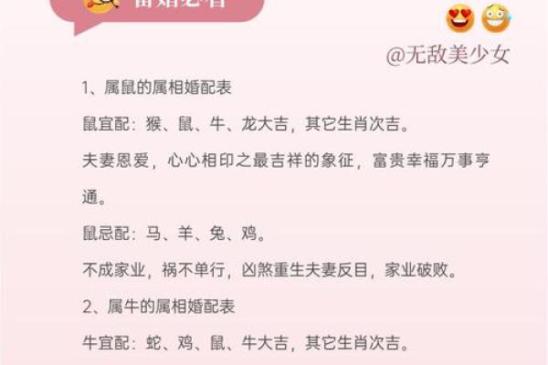 属猪火命与其他命格的最佳搭配分析