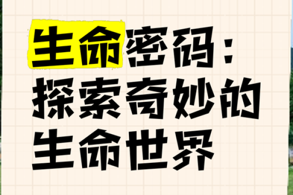 解密生命密码1号人：独特个性与人生智慧之旅