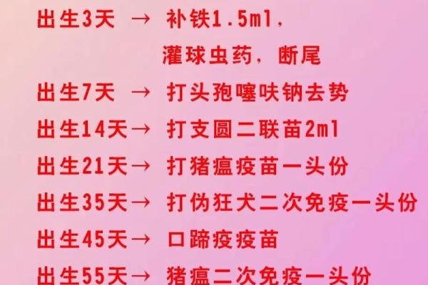 农历四月出生的猪：命理解析与生活指导