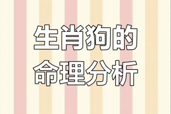 属狗之命:探讨狗年出生者的命运与性格特征 属狗之命:探讨狗年出生者的命运与性格特征