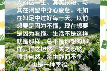 钱比命贵的人究竟是什么命？探讨生活的真谛与价值观