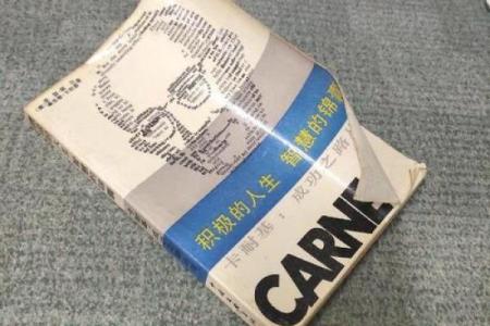 壬戌日的人生之路：智慧与坚韧的结合之道