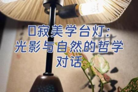 命运的光影：如何看待好命与坏命的哲学