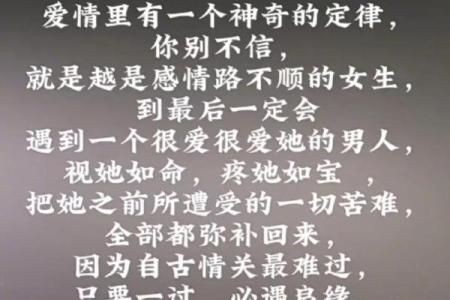 女人拼命追求爱情，什么样的男人值得你搭上半条命？