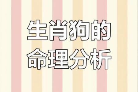 属狗之命：探讨狗年出生者的命运与性格特征