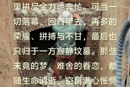 拼尽全力活下去：生活的勇气与坚持