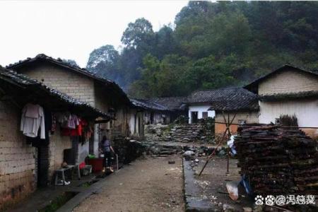 姑娘身子丫鬟命：女性命运的无奈与挣扎