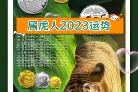 属虎人在2023年5月的命理解析与运势展望
