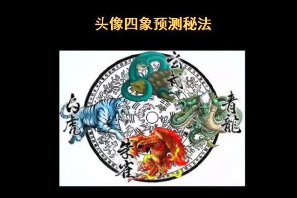深入解析:什么样的男人属于青龙命? 深入解析:什么样的男人属于青龙命?