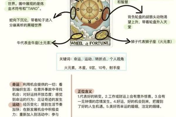 揭示命运之数：数字背后的神秘命理分析