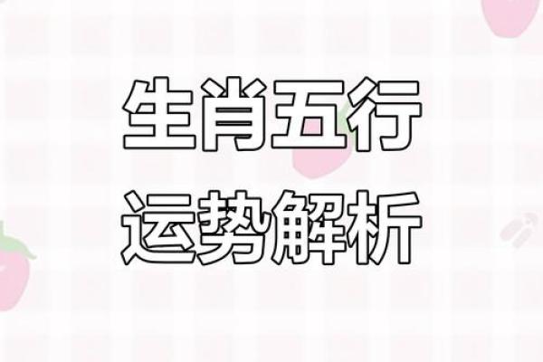 属相与后人命运：从十二生肖看孩子的未来潜力
