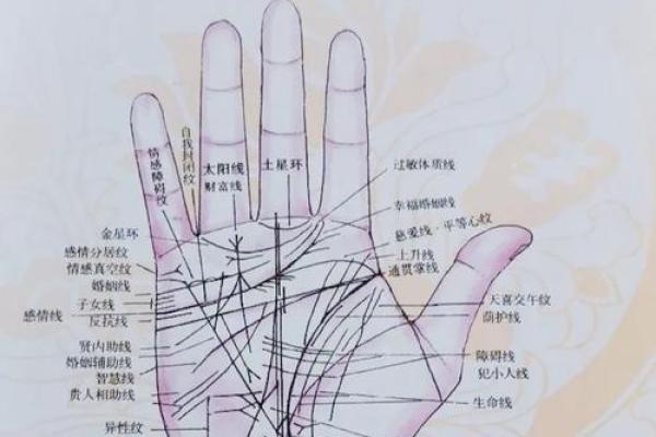 男人命运解析：从算命看男命的深层含义与智慧