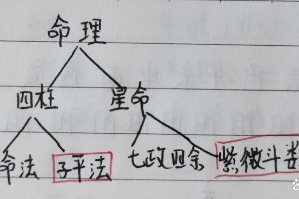 八字命格：最适合男士的命格解析与升华之道