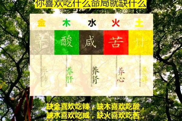 木命者，与何种元素相合，人生更精彩！