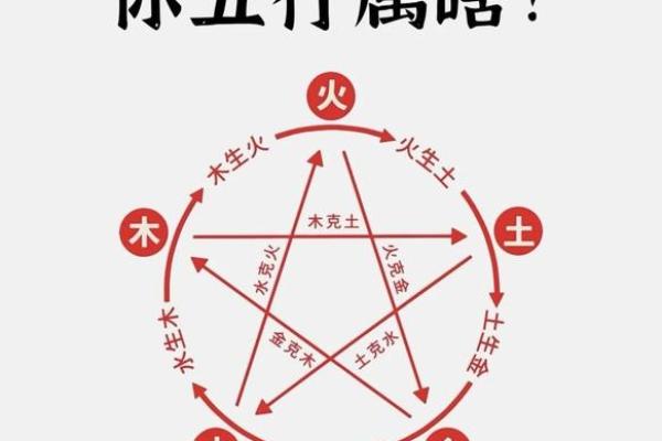 解密五行：木命与水命的神秘之旅