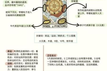 揭示命运之数：数字背后的神秘命理分析