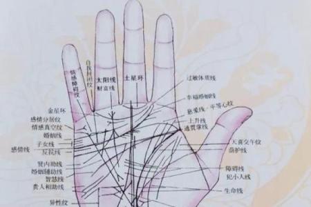 男人命运解析：从算命看男命的深层含义与智慧