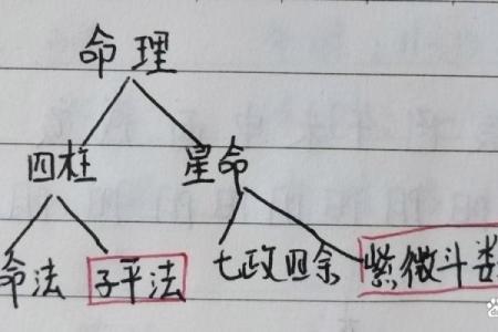 八字命格：最适合男士的命格解析与升华之道