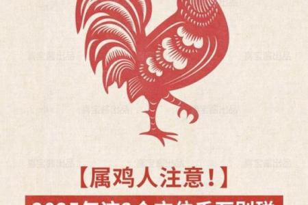 属鸡龙出雾：剖析命理与人生的神秘交汇