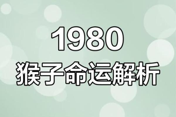 2004年属猴人的命运解析：智谋与挑战并存的精彩人生