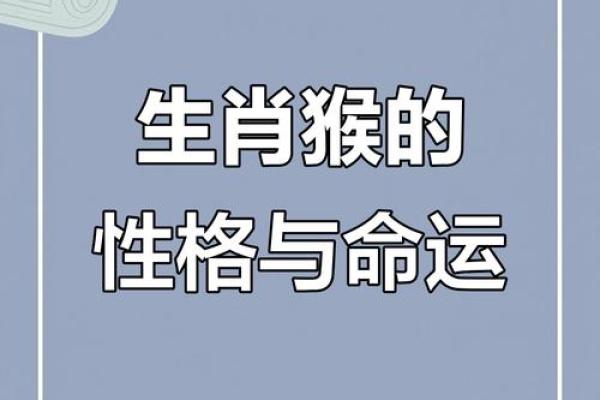 2004年属猴人的命运解析：智谋与挑战并存的精彩人生