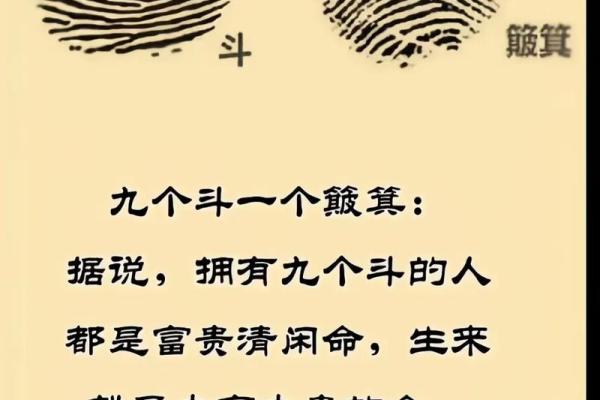 手纹秘境:揭开你命盘的神秘面纱 手纹秘境:揭开你命盘的神秘面纱