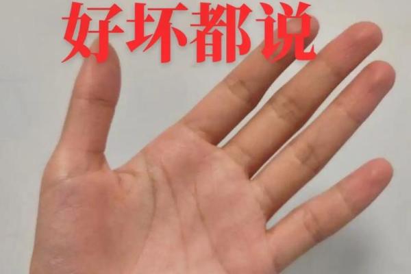 手纹秘境:揭开你命盘的神秘面纱 手纹秘境:揭开你命盘的神秘面纱