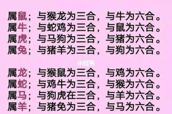 属虎女孩命里缺什么?揭示幸福与成功的秘密! 属虎女孩命里缺什么?揭示幸福与成功的秘密!