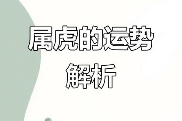 属虎女孩命里缺什么?揭示幸福与成功的秘密! 属虎女孩命里缺什么?揭示幸福与成功的秘密!