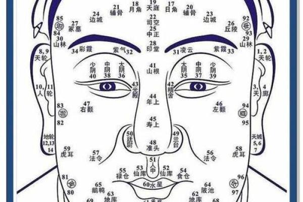 面相解读：怎样的面相更容易孕育儿子？