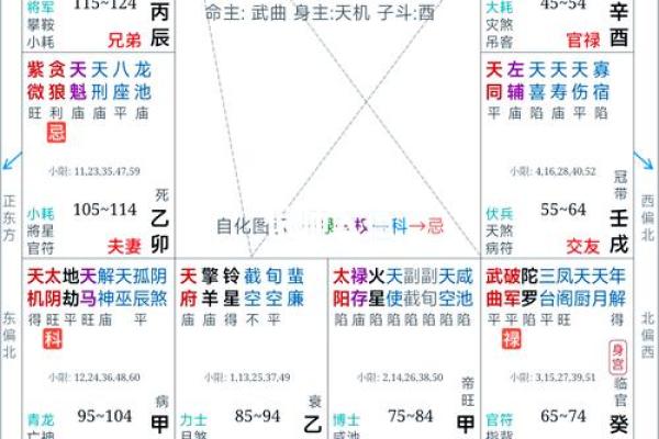 深入探索:适合命理学的命盘特征与解析方法 深入探索:适合命理学的命盘特征与解析方法