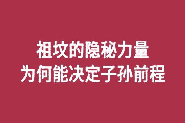 蛇出洞的命运:揭示生命中的隐秘力量与转折点 蛇出洞的命运:揭示生命中的隐秘力量与转折点