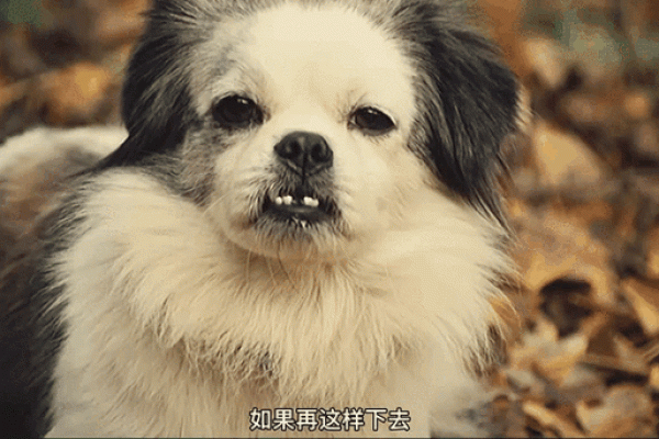 《有命进无命出》：一场惊心动魄的命运之旅