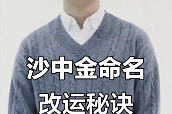 沙中金命,取名的艺术与智慧:探寻最合适的名字之道 沙中金命,取名的艺术与智慧:探寻最合适的名字之道