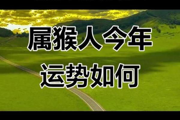 2023年属猴人的命运解析:42岁遇见新篇章的契机 2023年属猴人的命运解析:42岁遇见新篇章的契机