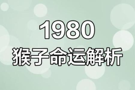 2004年属猴人的命运解析：智谋与挑战并存的精彩人生