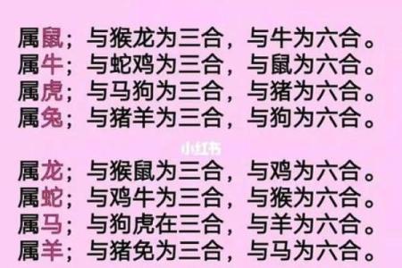 属虎女孩命里缺什么？揭示幸福与成功的秘密！
