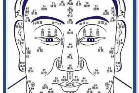 面相解读：怎样的面相更容易孕育儿子？