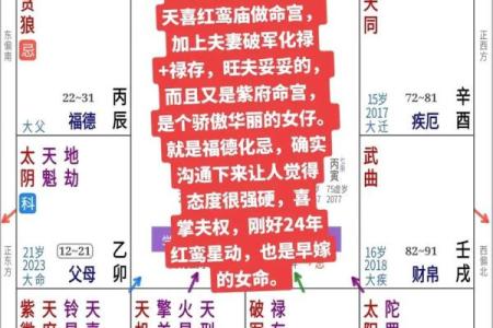深入探索：适合命理学的命盘特征与解析方法