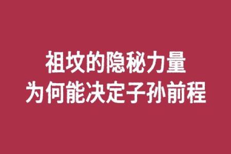 蛇出洞的命运：揭示生命中的隐秘力量与转折点