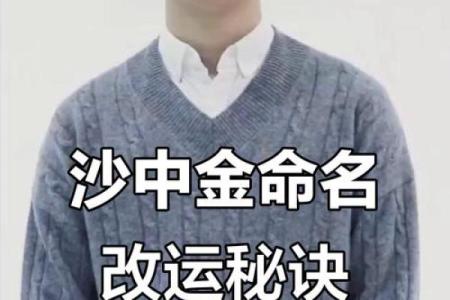 沙中金命，取名的艺术与智慧：探寻最合适的名字之道